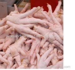 chicken feet in stock