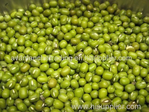 High Quality Green Mung Beans