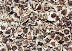 Organic Moringa Seed available