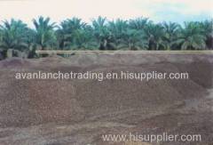 palm kanel shell to supplier