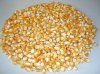 Yellow Corn Available for sell