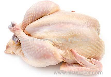 quality Whole chicken halal