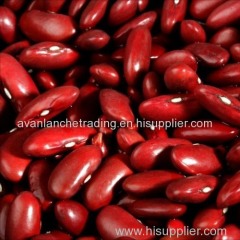 Crop Kidney Beans Dark Red