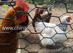 BWG 22 wire diameter PVC coated chicken hexagonal wire netting