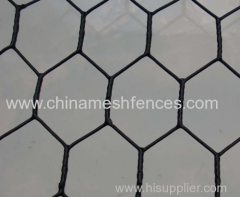 BWG 22 wire diameter PVC coated chicken hexagonal wire netting