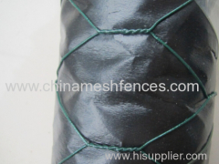 BWG 22 wire diameter PVC coated chicken hexagonal wire netting
