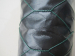 PVC coated chicken wire netting PVC hexagonal chicken wire mesh BWG 22 PVC coated chicken wire mesh