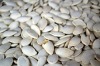 Pumpkin Kernel Dried Pumpkin Seeds