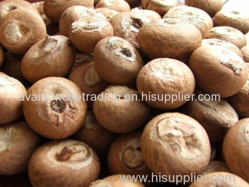 Good quality Betel Nuts for sale