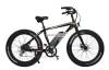 Fast Electric Bike with 48V battery 500W motor