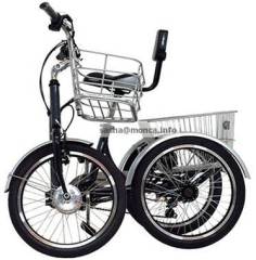 Electric Trike-good tools for going shopping