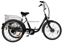 Electric Trike-good tools for going shopping