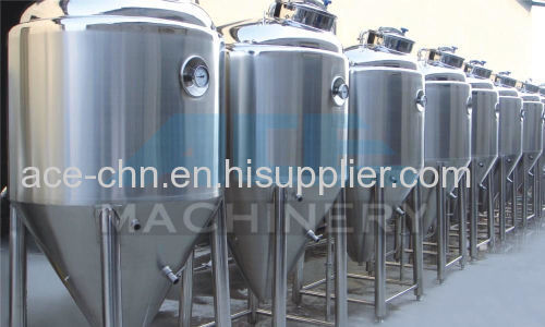 Sanitary Fermentation and Ferment Growing Mixing Tank