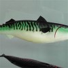 PVC Plastic Mackerel Bait