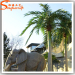 Large outdoor artificial Roystonea regia palm trees