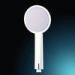 ABS Polished Chrome Single Function Shower Head With Extension Arm