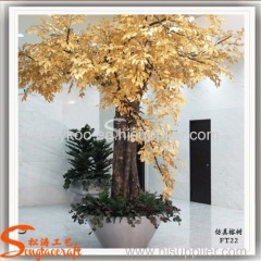 High quantity gold banyan tree banyan leaves for landscape project decoration fake Ficus microcarpa banyan trees