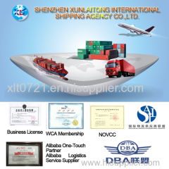 Ocean shipping container logistic from shenzhen to Singapore