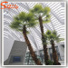 Bent shape trees Styleized Artificial Washingtonia Palm Trees