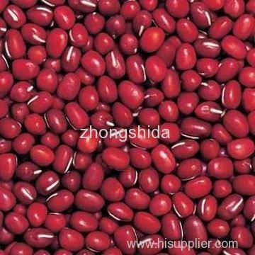 Adzuki beans (small red beans)