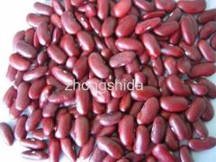 Dark red kidney beans