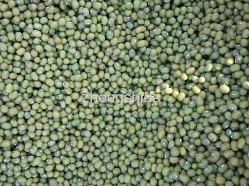 Green mung beans (mung bean)