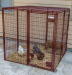 Simple Modular Panel Cage Animal House