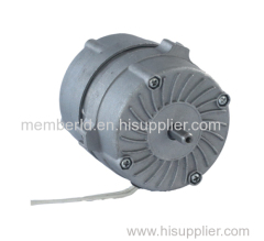 Micro AC Electric Motor