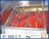 Tomato Processing Machinery Tomato Processing Line For Tomato Juice / Tomato Paste Production