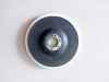 Natural wool felt pad with disc