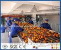 Fruit Juice Processing Equipment With Citrus / Tangerines / Orange Juice Extractor Machine