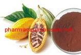 High Purity Cocoa extract
