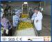Complete Turn key Project Mango Fruit Juice Processing Line High Engery Saving