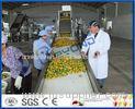 Complete Turn key Project Mango Fruit Juice Processing Line High Engery Saving