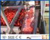 Full / Semi Automatic Tomato Processing Equipment For Tomato Processing Plant