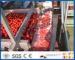 Full / Semi Automatic Tomato Processing Equipment For Tomato Processing Plant