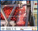 Full / Semi Automatic Tomato Processing Equipment For Tomato Processing Plant