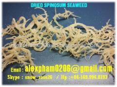 Spinosum Seaweed / Eucheuma Seaweed for soup food