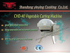 CHD 80 Vegetable Cutter Machine