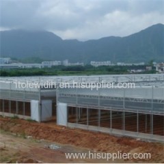 Openable Roof Film Greenhouse