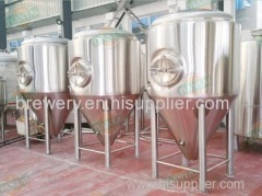 1000 L steam craft beer making system for sale