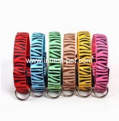 LED pet collar dog collar