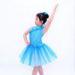 BlueTutu Dress Floral Diagonal Neckline Ballerina Dance Clothes With Matching Floral Headpiece