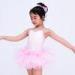 Baby Pinky Floral Banded Waist Tutu Dress Kids Dance Costumes Dress for Girls