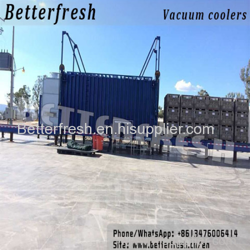 Manufacture provide 12 pallets Vegetable Vacuum Cooling machine with Vertical sliding door