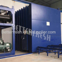 Double door Vacuum cooling machine pre cooler with conveyor for betterfresh Flower fruit vegetable