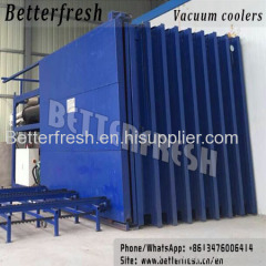 Double door Vacuum cooling machine pre cooler with conveyor for betterfresh Flower fruit vegetable