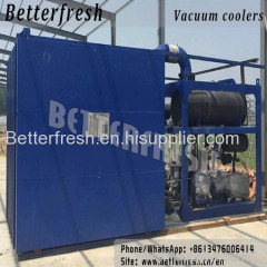 Double door Vacuum cooling machine pre cooler with conveyor for betterfresh Flower fruit vegetable