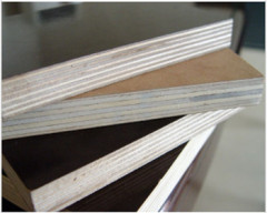 Poplar Film Faced Plywood