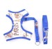 NEW DESIGN 2016 dog harness pet harness